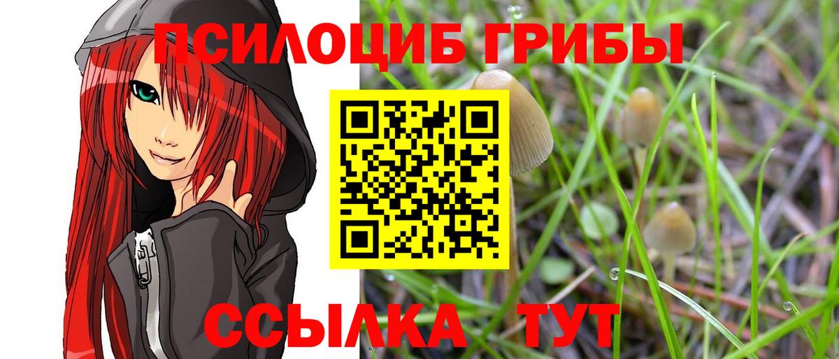 Волжский  Галлюциногенные грибы мухоморы  Галлюциногенные грибы Psilocybe  Вход с VPN 